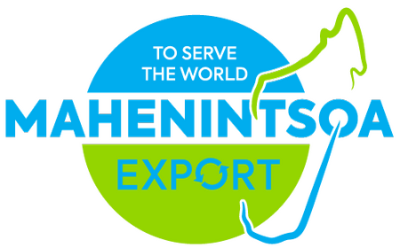 Mahenintsoa Logo